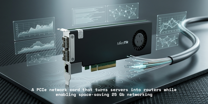 CCR2004-1G-2XS-PCIe