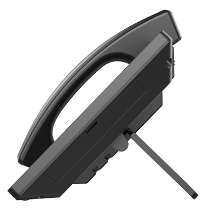 Grandstream GXV3480