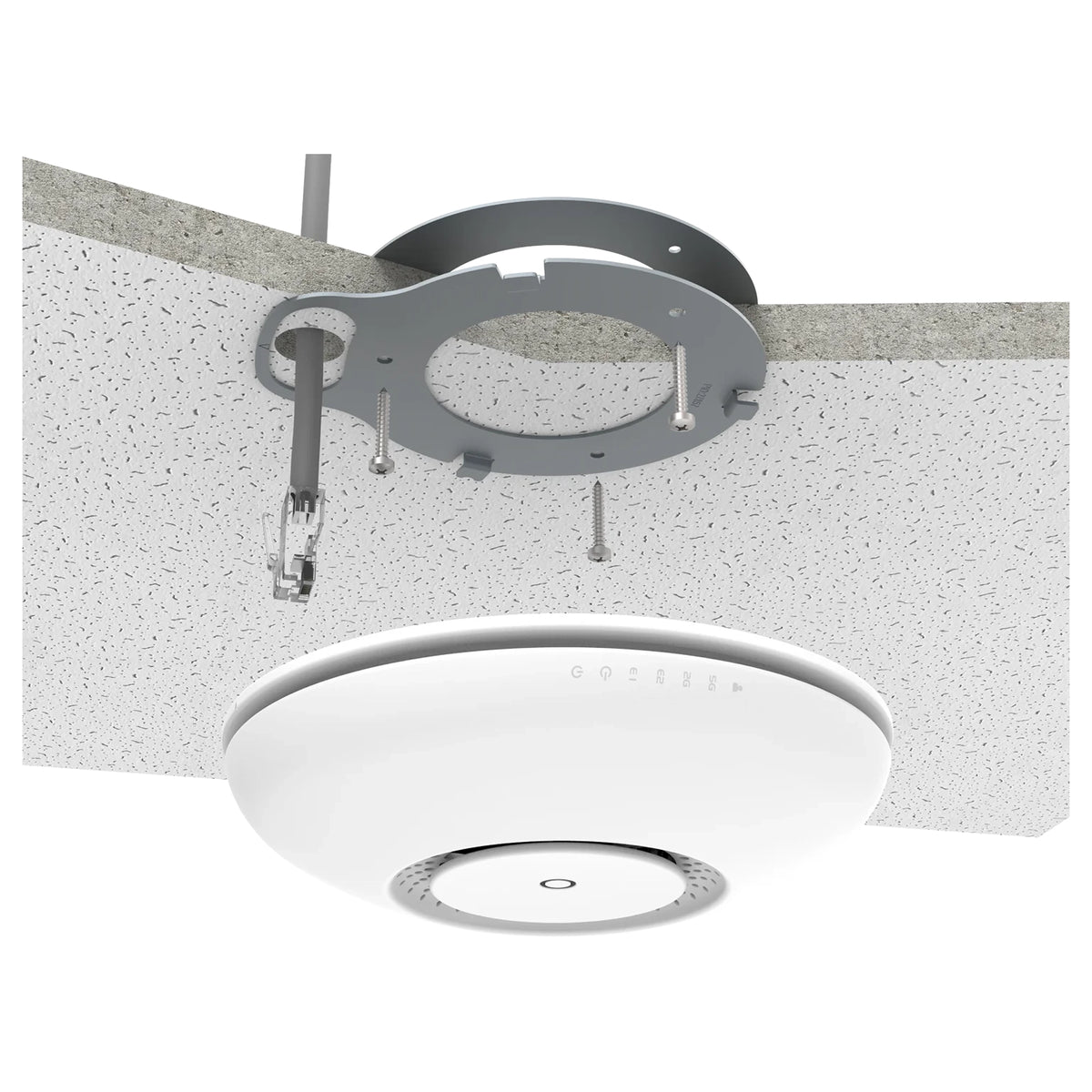 cAP ac(RBcAPGi-5acD2nD-US)