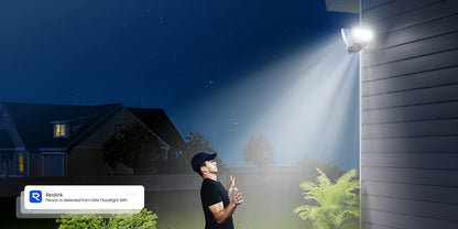 Floodlight Series F751W